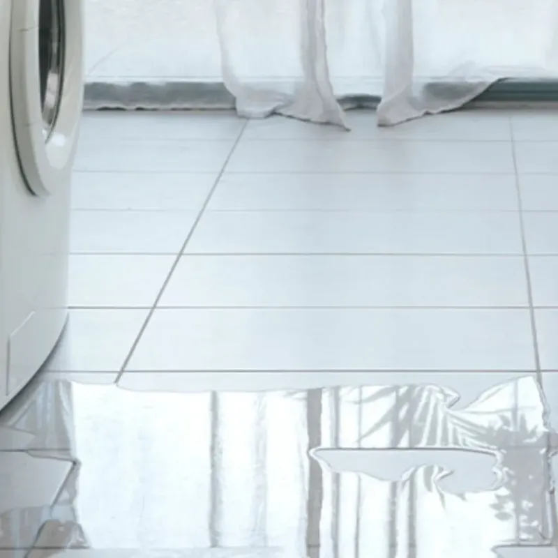 Appliance Leak Cleanup in Jonesboro, IL