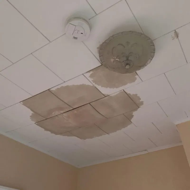 Ceiling Water Damage Repair in Jonesboro, IL