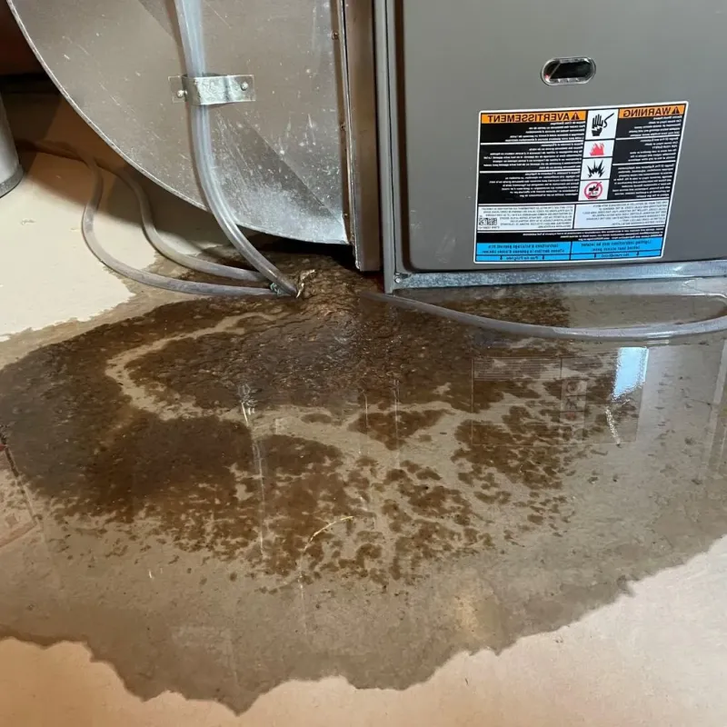 Pipe Burst and Leak Restoration in Jonesboro, IL