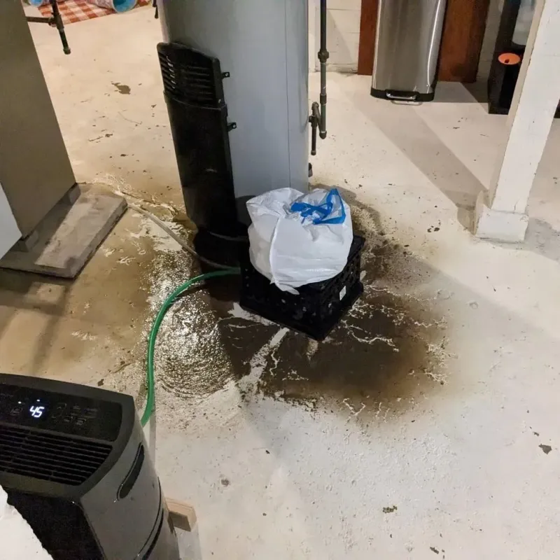 Sewage Backup Cleanup Service in Jonesboro, IL